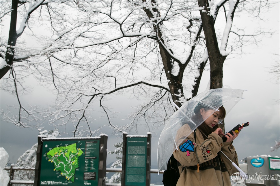  서울에 올겨울 첫 대설주의보가 발령된 3일 오후 남산타워 일대에 눈이 쌓여 설경을 이루고 있다. 
