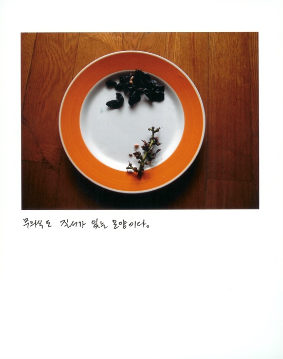  이영욱, 사진일기 - 즐거운 유배지, 5x7inch, archival pigment print(1, 2), 2007.