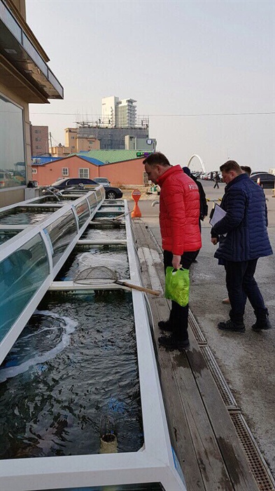  평창동계올림픽에 참가중인 폴란드 안제이 두다 대통령이 경포대 주변 횟집을 둘러보고 있다.