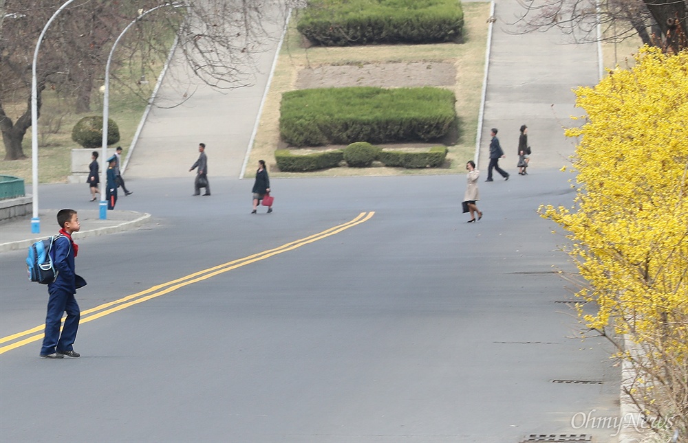 평양의 봄 2일 오후 평양 창전거리에서 학생이 길을 건너고  있다.