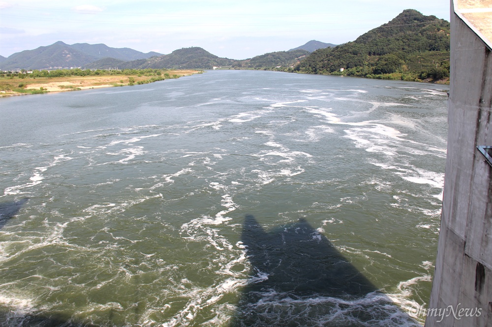  8월 19일 낙동강 창녕함안보 수문으로 넘쳐 흐르는 물이 온통 녹색이다.