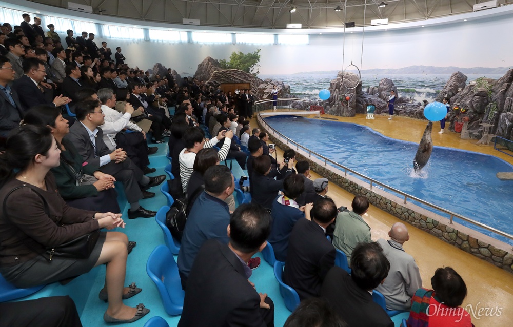  '10.4선언 발표 11주년 기념 민족통일대회' 참석을 위해 방북한 남측대표단이 지난 6일 평양 중앙동물원을 참관했다. 남측대표단이 물범쇼를 관람하고 있다.