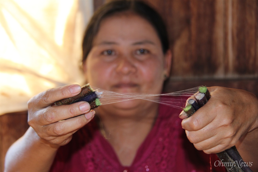  미얀마 인레 호수 부근에 사는 주민이 연꽃 줄기에서 실을 뽑아내는 작업을 하고 있다.
