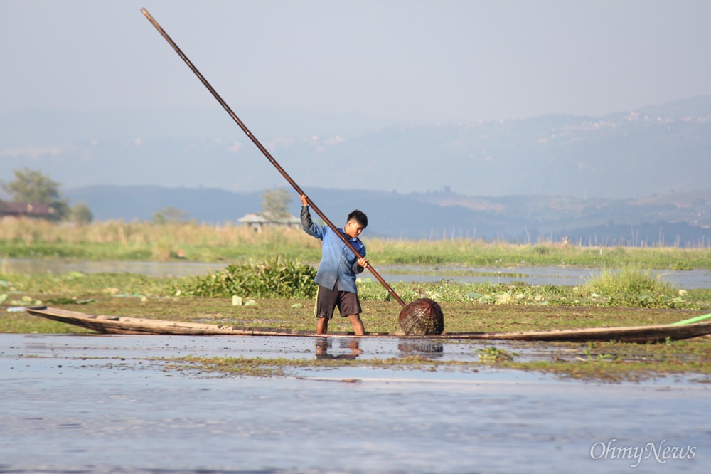  미얀마 인레 호수에 사는 어부가 작업하는 모습.