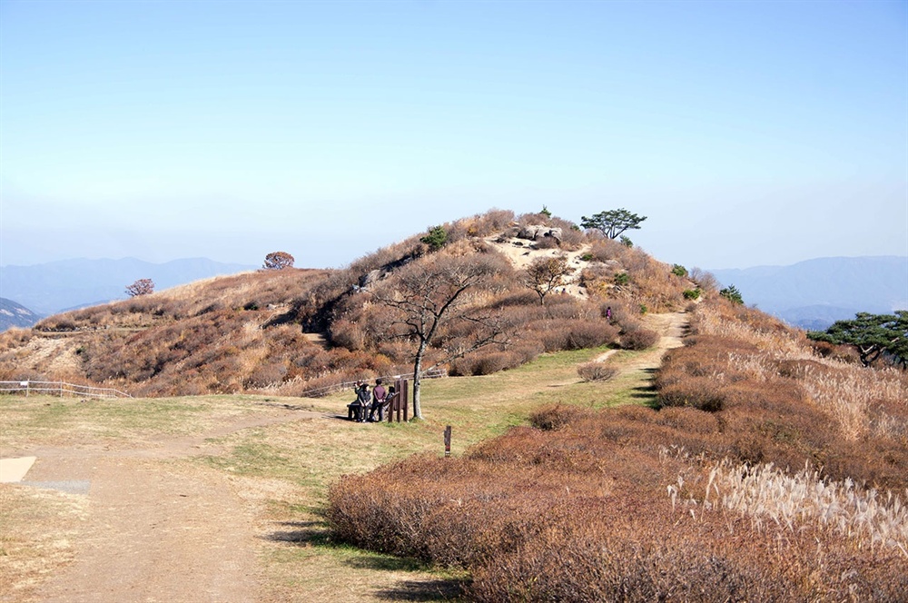  황매산은 해발 1108m의 만만치 않은 산이지만, 정상의 능선은 완만하고 넉넉했다.