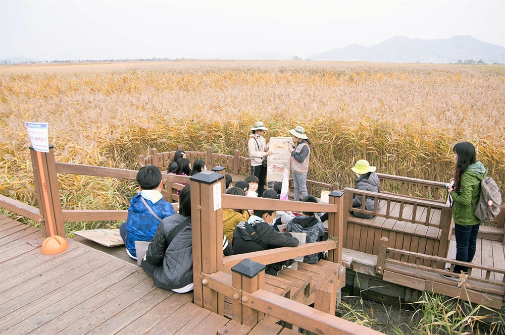  인근 혁신학교인 인안초등학교의 생태탐사 프로젝트. 6학년 어린이들이 저학년을 대상으로 생태를 해설하고 있다.