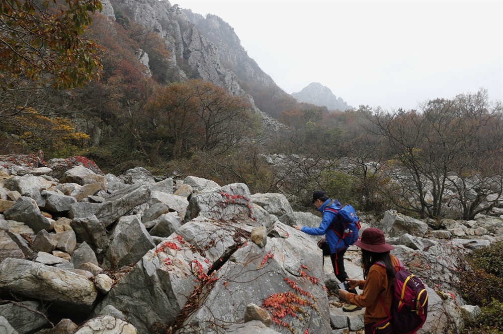  달마고도는 미황사를 품은 해남 달마산의 산허리를 따라가는 트레킹 길이다. 걷는 내내 달마산의 명물 기암괴석을 볼 수 있다.