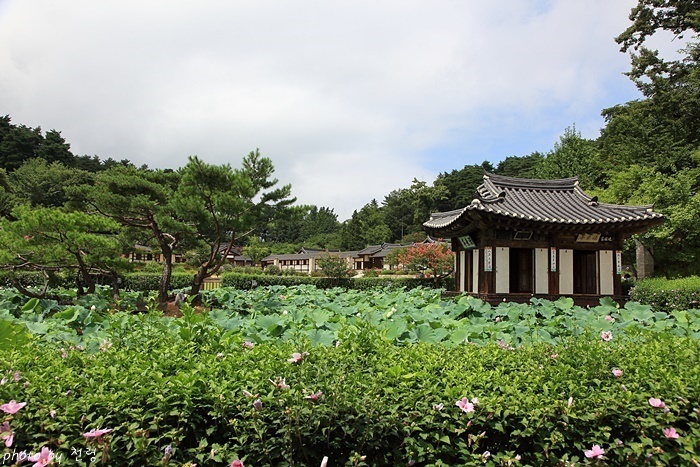 활래정 이후가 집 앞에 연못을 파고 정자를 세운 것이 활래정의 시작이었다.