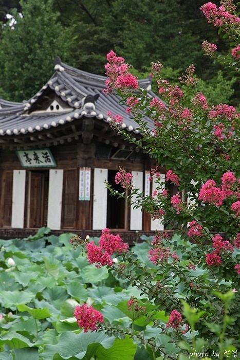 활래정 활래정은 여름이면 백일홍과 연꽃이 만발하여 선계를 연상시킨다.