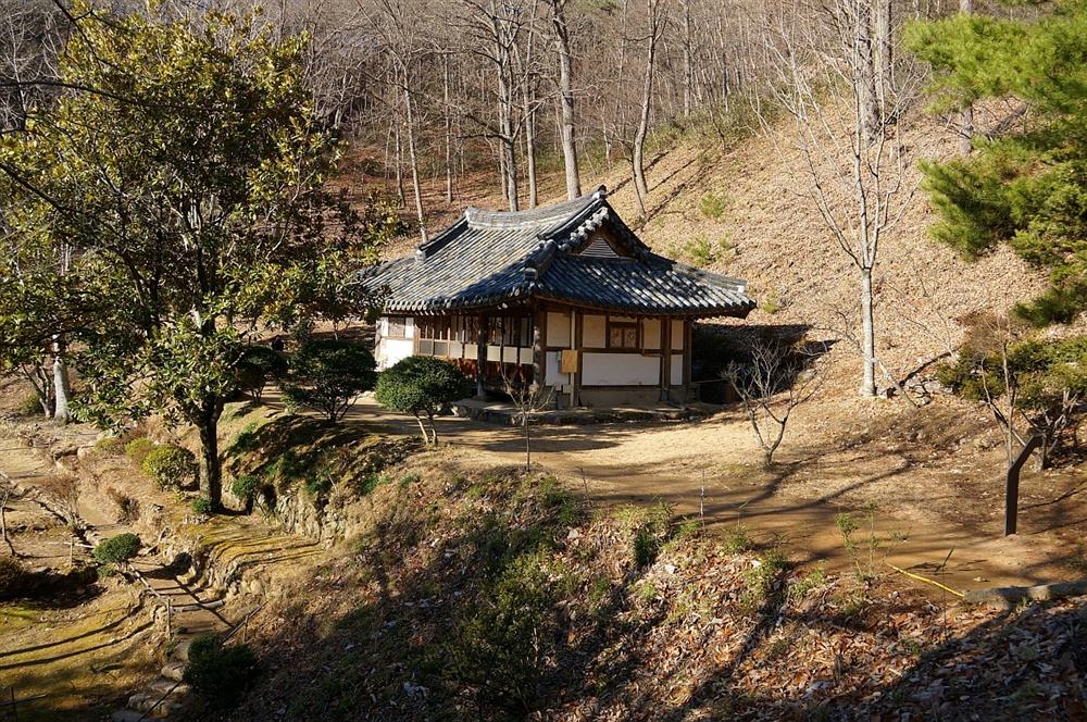  송광사 불일암 전경. 무소유 스님, 법정스님의 아름다운 뒷모습이 아른거린다. 살아생전 사랑하던 후박나무와 스님이 만든 ‘빠삐용 나무의자’가 많이 외로워 보인다.