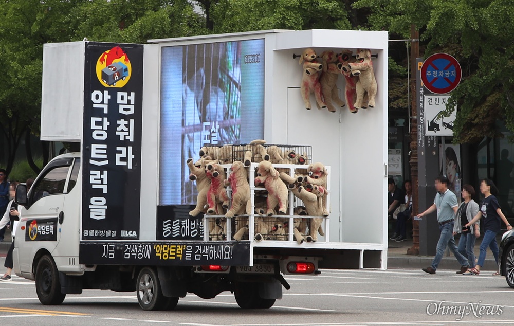  동물해방물결과 동물을위한마지막희망(LCA) 등 40여 개 동물보호단체 회원들이 12일 오전 서울 여의도 국회 앞 도로에서 개들을 철장에 넣어 도살장으로 실어 나르는 차량을 재현한 ‘악당트럭’을 운행하며 개 식용 반대를 국민들에게 촉구하고 있다.