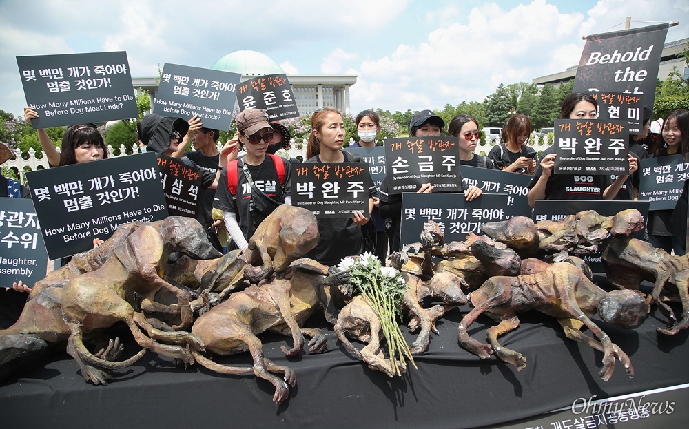  동물해방물결과 동물을위한마지막희망(LCA) 등 40여 개 동물보호단체 회원들이 12일 오전 서울 여의도 국회 앞에 모여 보신 문화에 희생된 개들을 추모하고 동물을 임의로 죽이는 행위를 원칙적으로 금지하는 법안 통과를 촉구하고 있다.