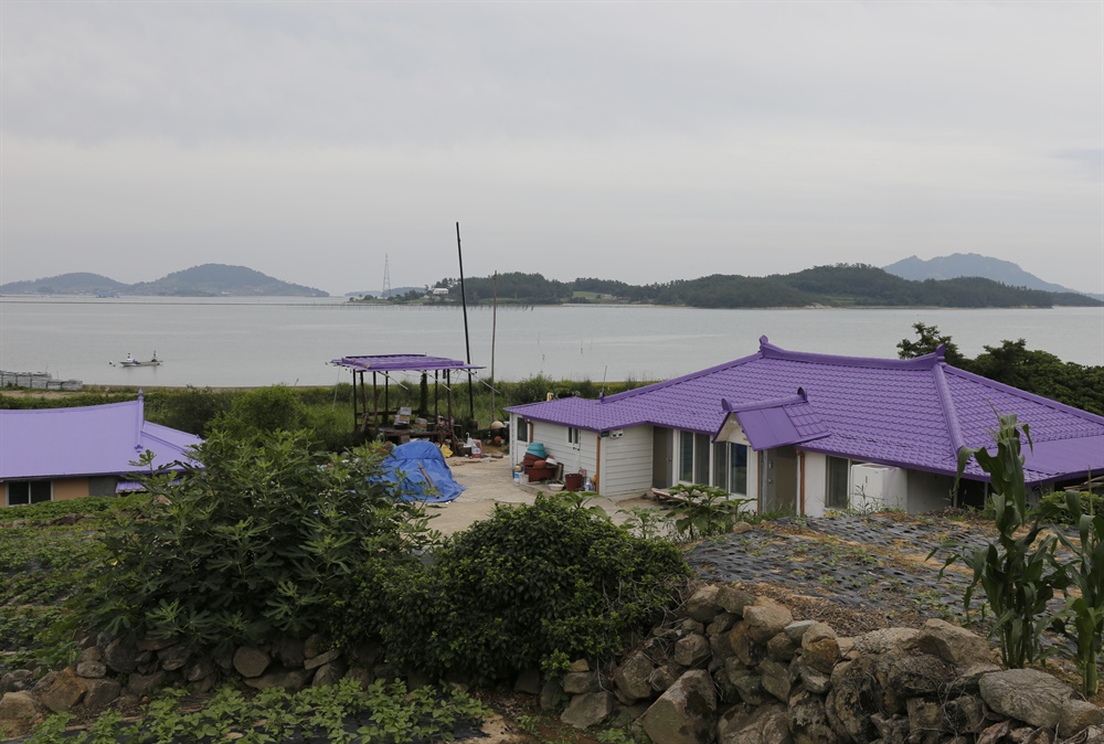  박지도 섬마을의 바닷가 집 지붕이 모두 보라색으로 칠해져 있다. 박지도는 반월도와 함께 신안군이 보라색으로 마케팅하고 있는 섬이다.