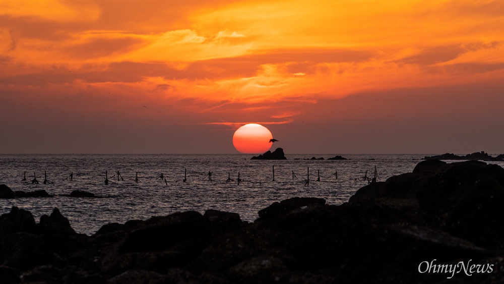  인천 영종도의 낙조.