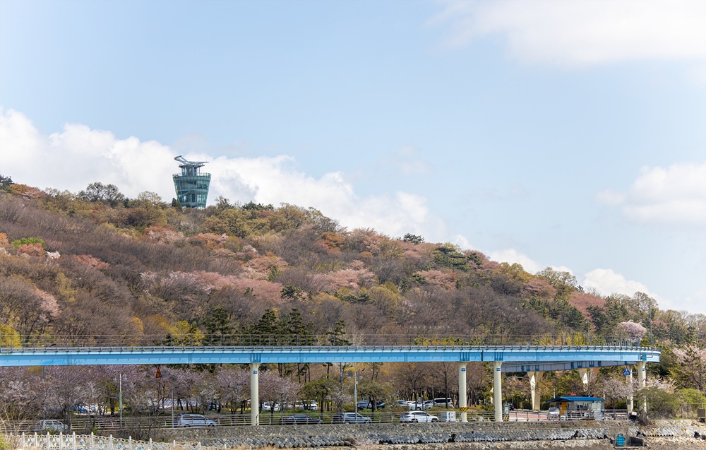  월미산과 월미전망대, 그리고 월미바다열차와 파란 하늘이 조화를 이뤄 한폭의 그림 같은 풍경을 연출하고 있다. 미세먼지가 없는 날에는 월미도에서 영종도를 또렷하게 조망할 수 있다.?