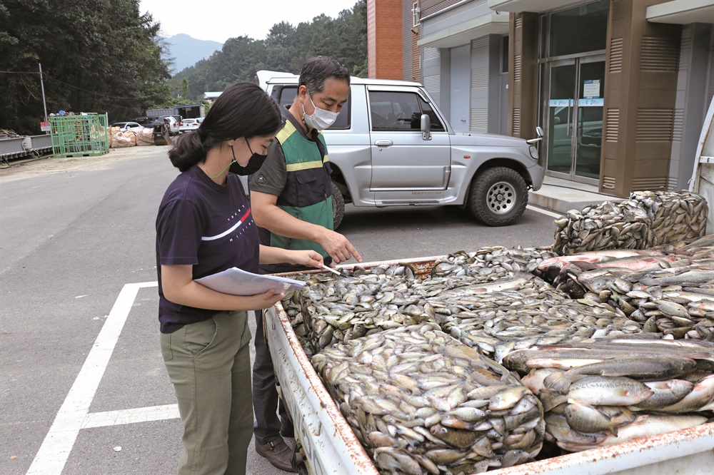  충북 옥천군 내수면 생태계 교란어종 구제사업