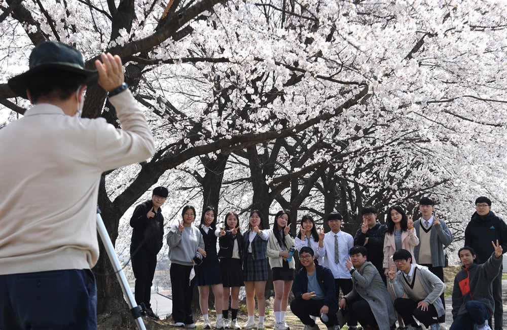  거창지역 한 고등학교 학생들의 '벚꽃 앨범' 촬영.