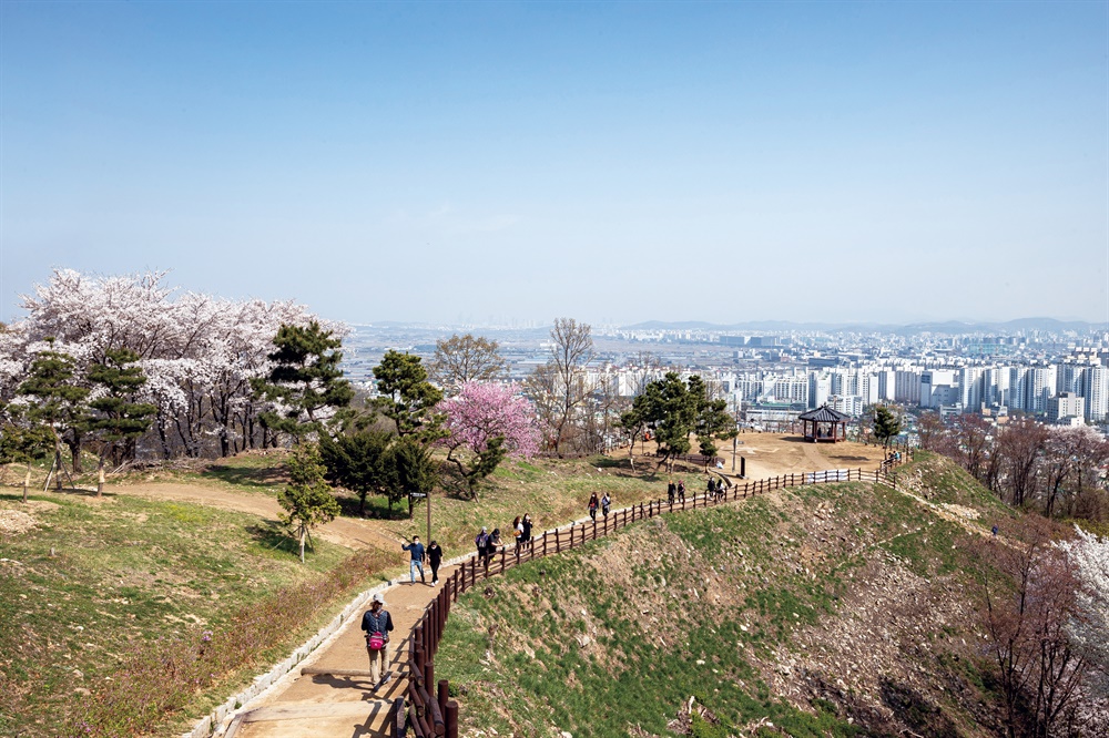  계양산성. 맑게 갠 하늘과 이제 막 푸른빛을 띠기 시작한 새 잔디가 봄을 알린다.