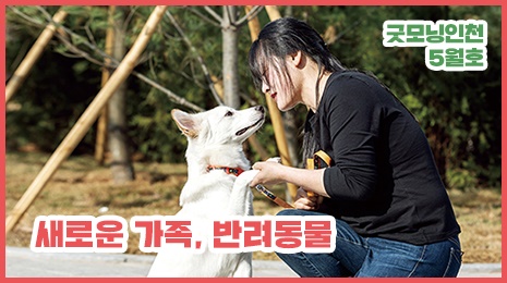  굿모닝인천 5월호 가정의 달 특집 1- 새로운 가족, 반려동물