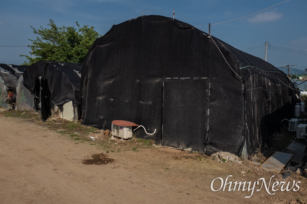  외국인 노동자 숙소로 사용되고 있는 비닐 하우스