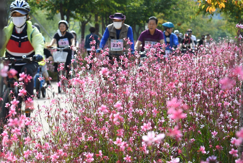  거창 창포원의 연분홍빛 자전거 소풍.