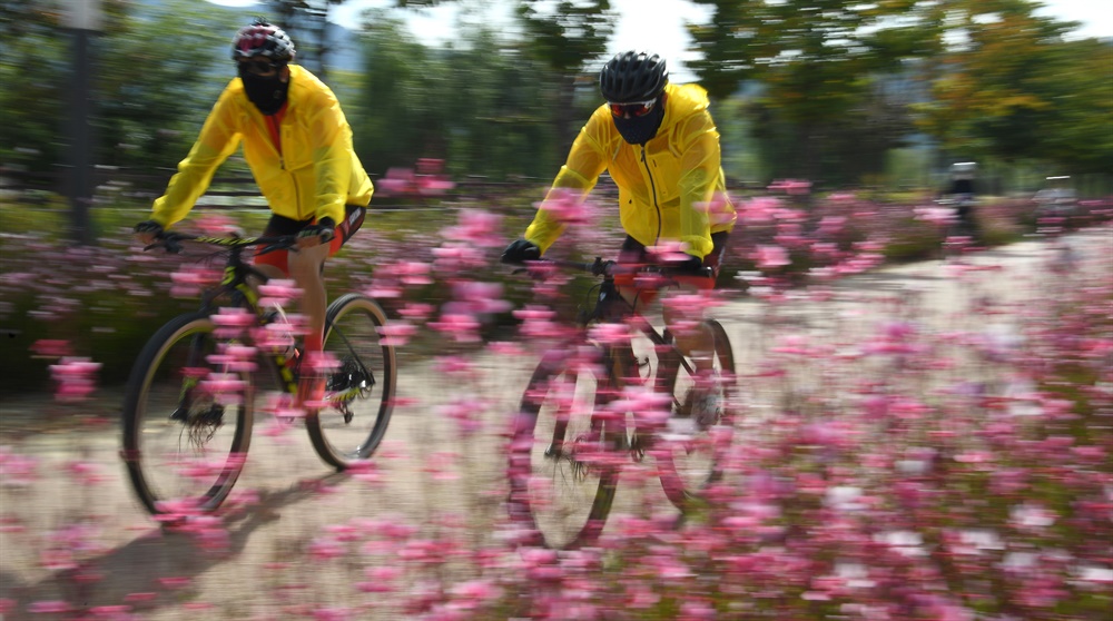  거창 창포원의 연분홍빛 자전거 소풍.
