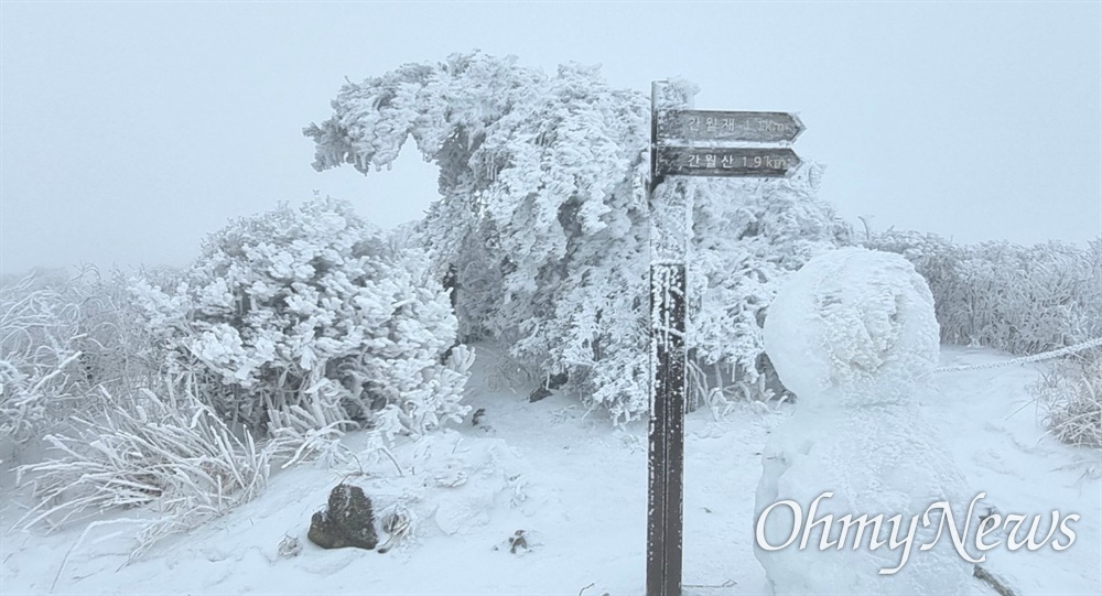  2월 15일 신불산에 내린 눈.