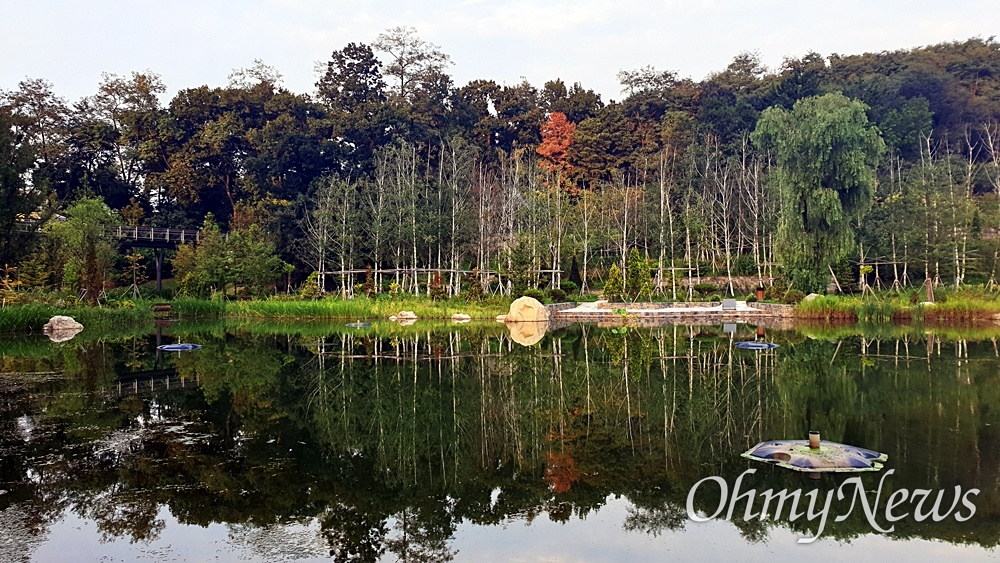  영흥수목원, 연못(수연지)에 비친 겨울정원 풍경.