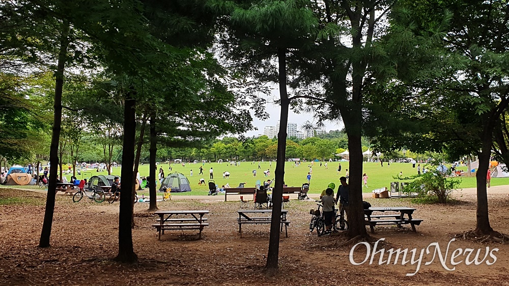  난지천공원, 잔디마당에서 뛰어노는 아이들.