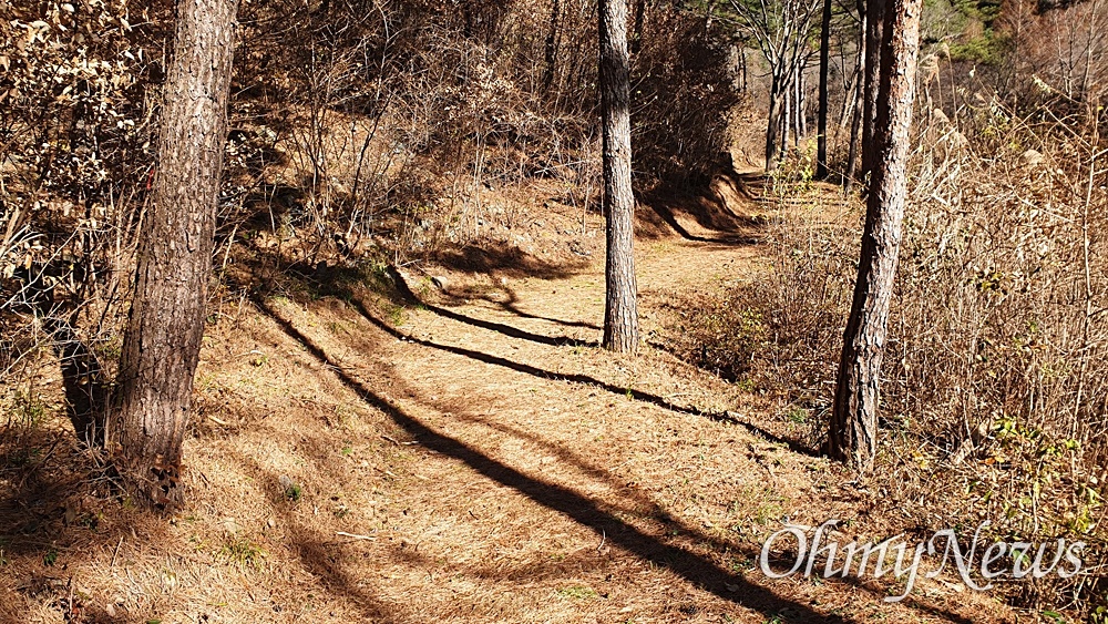  서천 치유의숲, 양지 바른 산책로.
