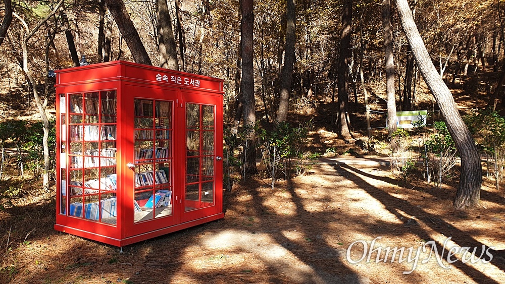  서천 치유의숲, 솔향기를 맡으며 책을 읽을 수 있는 숲속 작은 도서관.