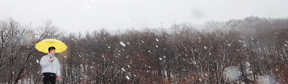  1월 20일 함양 대봉산휴양밸리 눈.