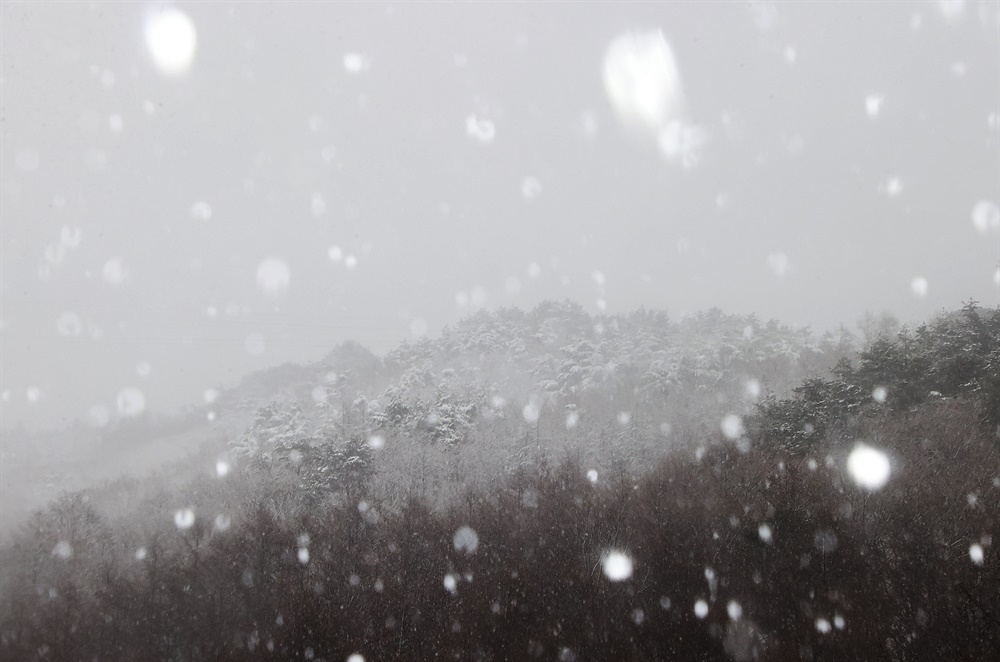  1월 20일 함양 대봉산휴양밸리 눈.