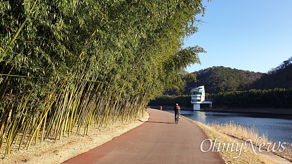  태화강 국가정원, 강변 산책로 겸 자전거도로. 대나무숲이 장벽을 치고 있다.