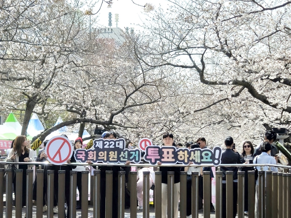  경상남도선거관리위원회 직원들이 벚꽃 명소인 여좌천 로망스 다리에서 정책선거에 대한 관심과 투표참여를 희망하는 퍼포먼스를 펼치고 있다. 