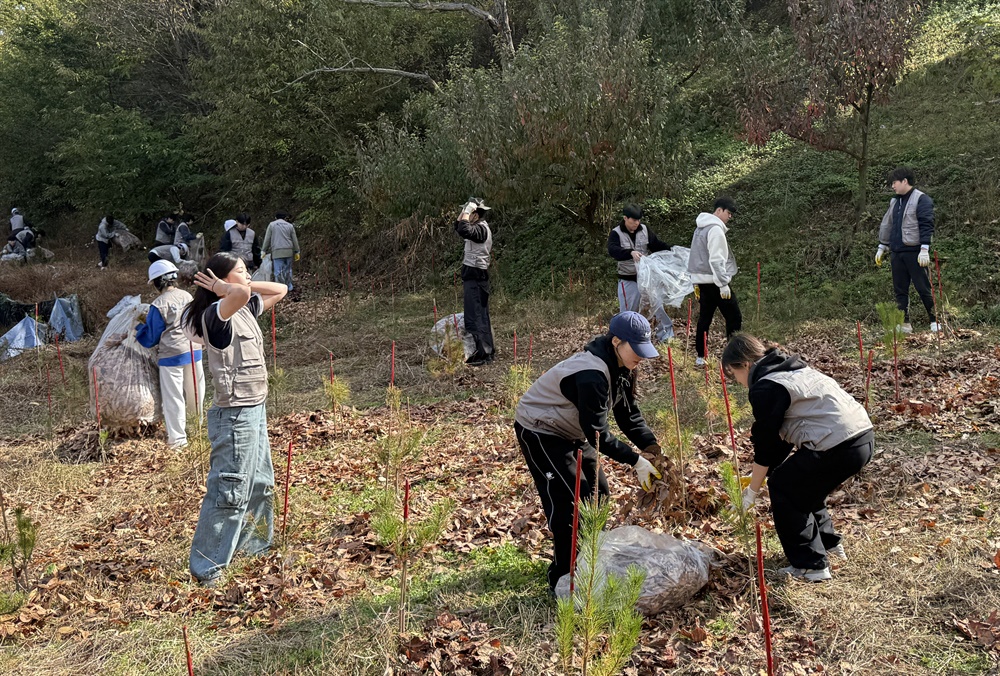  경상국립대학교는 11월 8일 진주시 경상국립대학술림에서 농업생명과학대학 소속 교수, 학생, 직원 등 120여 명이 참가한 가운데 ‘2024년 숲가꾸기(육림)’ 행사를 개최했다.