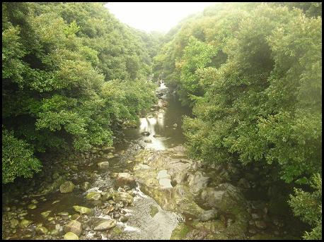 제주에서는 드물게 사철 물이 흐르는 계곡이다. 주위에 천연 숲이 있어서 여름에 피서객들의 발길이 이어진다.