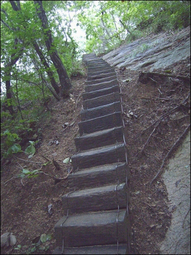 등산길에서 만난 철도침목을 잘라서 만든 특이한 모양의 계단