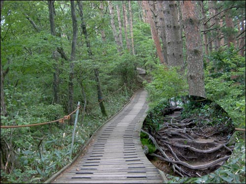 예전에는 세월의 흔적이 묻어 있는 나무뿌리 등산로를 따라 갔다. 지금은 나무 등산로가 설치되어 있다.