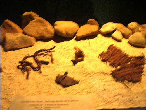 유물전시관에 전시된 발굴 유물