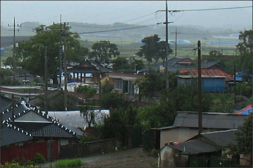 마을 들머리에 서 있는  정자나무와 정자. 정자 앞 공터에 무명동학농민군 위령탑이 있다. 