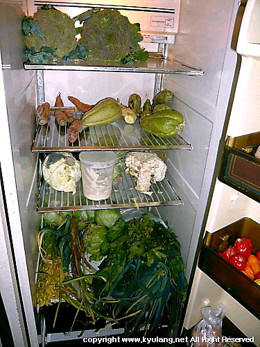 Fernan의 냉장고 