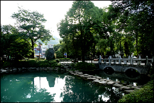 황지연못은 황지공원으로 조성되어 있고, 주민의 아늑한 휴식처다
