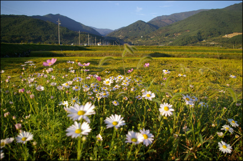  멀리 보이는 산이 지리산입니다. 