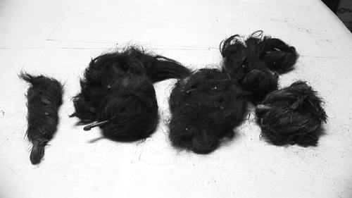 고양 금정굴 학살현장에서 발굴된 희생자들의 머리카락