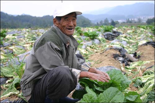  우리동네 배추농사꾼 노씨가 배추 값을 잘 받은 뒤 활짝 웃고 있다.