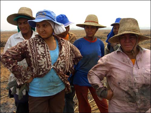 브라질 중부 꾸이아바의 사탕수수 농장에서 일하는 여성노동자들. 