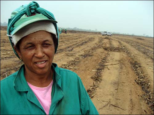 사탕수수 여성노동자. 서른아홉에 손자 둘을 둔 달바나. 이 여성은 브라질 동북부 알라고아스에서 돈을 벌기 위해 꾸이아바까지 이주해온 노동자였다. 시간당 1.6헤알(815원)을 받고 일하고 있다.