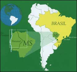 브라질 지도. 마또그로수 도 술 주의 왼쪽 편이 판타날이다. 판타날은 브라질과 볼리비아, 파라과이에 걸쳐 있다.