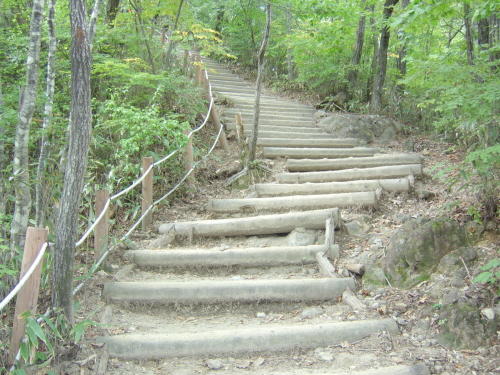 덕유산 등산로 등산로는 수 천개의 목계단과 석계단으로 이어져 있었다.